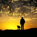 Dog-Walk-SunsetImage-by-Anja-from-Pixabay-Cropped