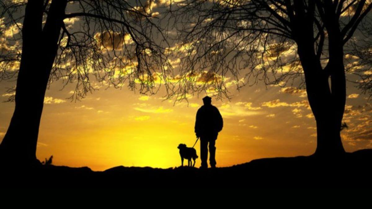 Dog-Walk-SunsetImage-by-Anja-from-Pixabay-Cropped