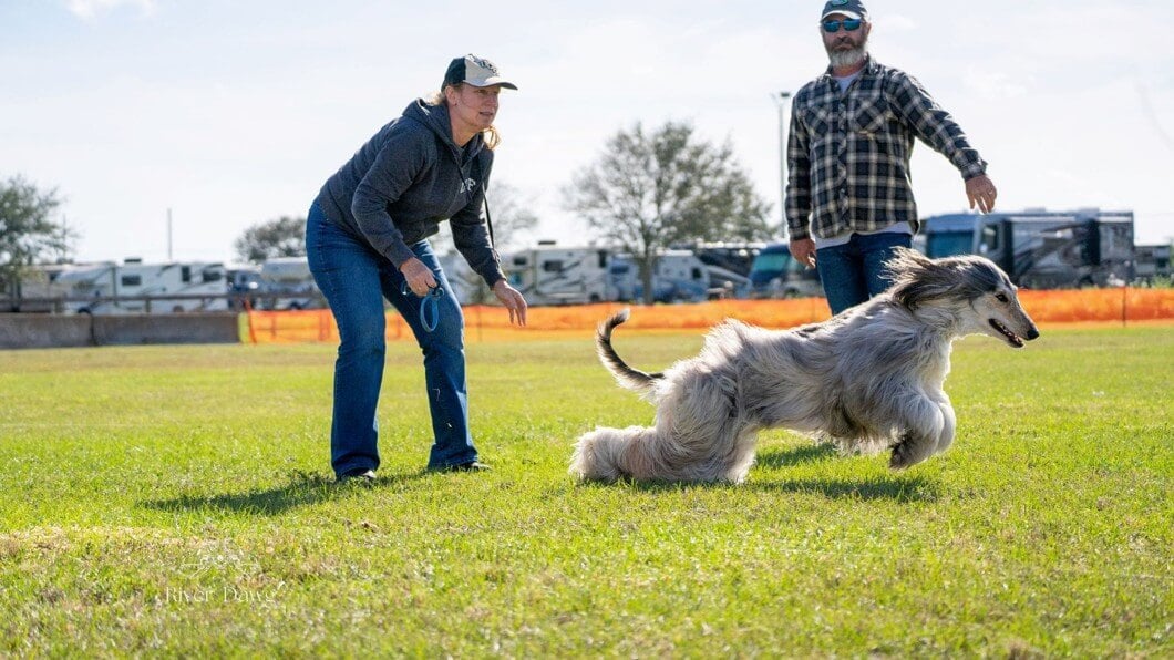 Author releasing Khalil during a Coursing Aptitude Test.