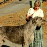Ch-Fleetwind-Gordon-9yr11m
