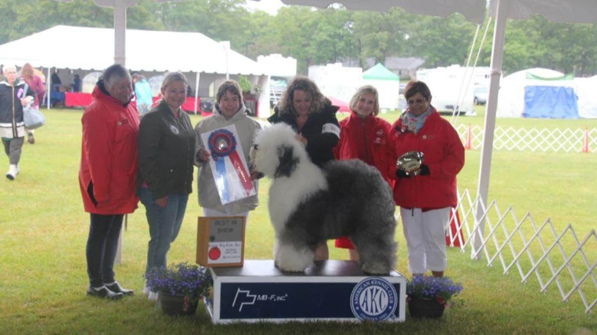 Ladies Dog Club Welcomes State Rep. Danielle Gregoire (courtesy Ladies Dog Club)