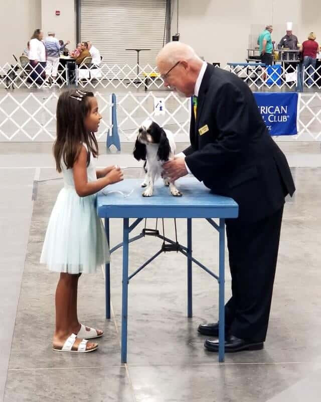 AKC Pee Wee
