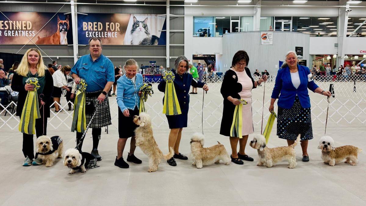 2025 National Parade Versatile Dandies