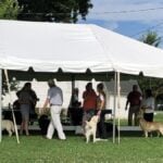 Burlington Wisconsin Kennel Club 62nd & 63rd Summer All-Breed Dog Shows