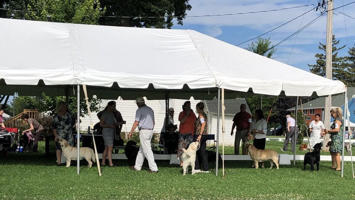Burlington Wisconsin Kennel Club 62nd & 63rd Summer All-Breed Dog Shows