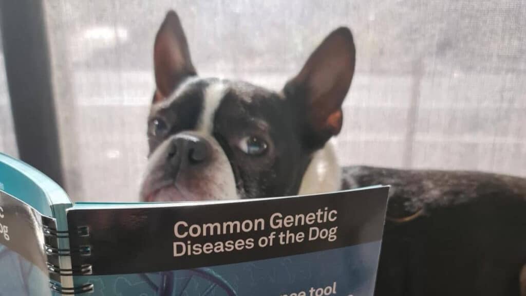 Charlie reading Genetics