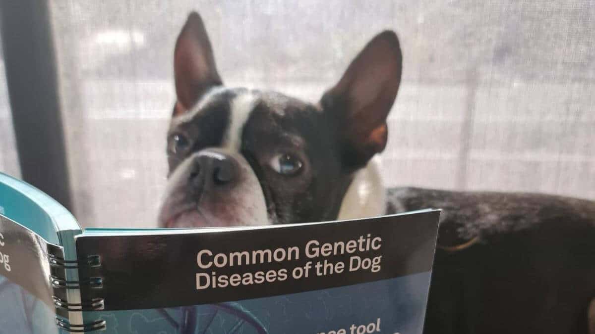 Charlie reading Genetics