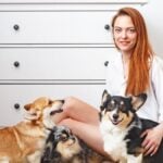 Woman sitting on a floor with her three dogs at home, two corgi and merle spire