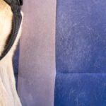 Wool, dog hair, on furniture, car seat. Pet care and pet grooming. Dog hair on the car seat. The concept of seasonal molting of pets, caring for dogs and cats at home.