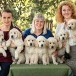 Three girls hold Golden Retriever puppies in their arms in summer in the park