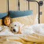 Young woman takes selfie photo or has a video call while lying with her cute dog in bed. Spending leisure time and having fun together. Friendship with pets and coziness concept