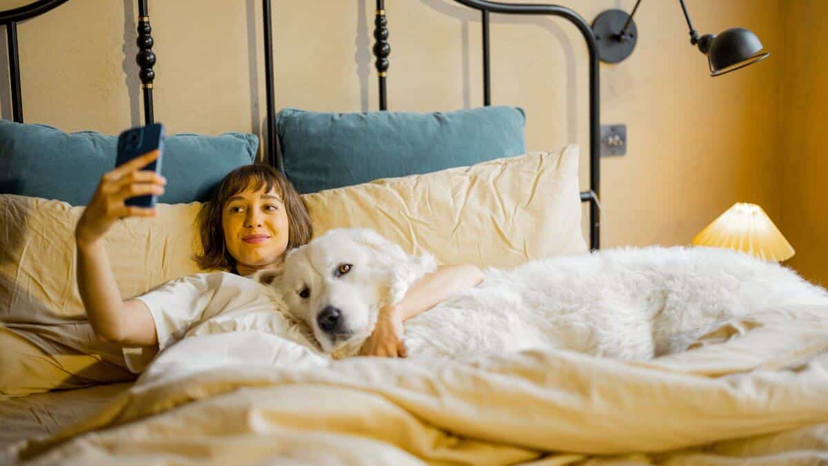 Young woman takes selfie photo or has a video call while lying with her cute dog in bed. Spending leisure time and having fun together. Friendship with pets and coziness concept