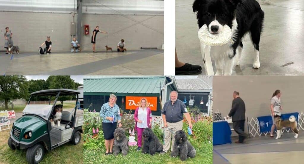 2025 Hoosier Summer Classic Dog Show