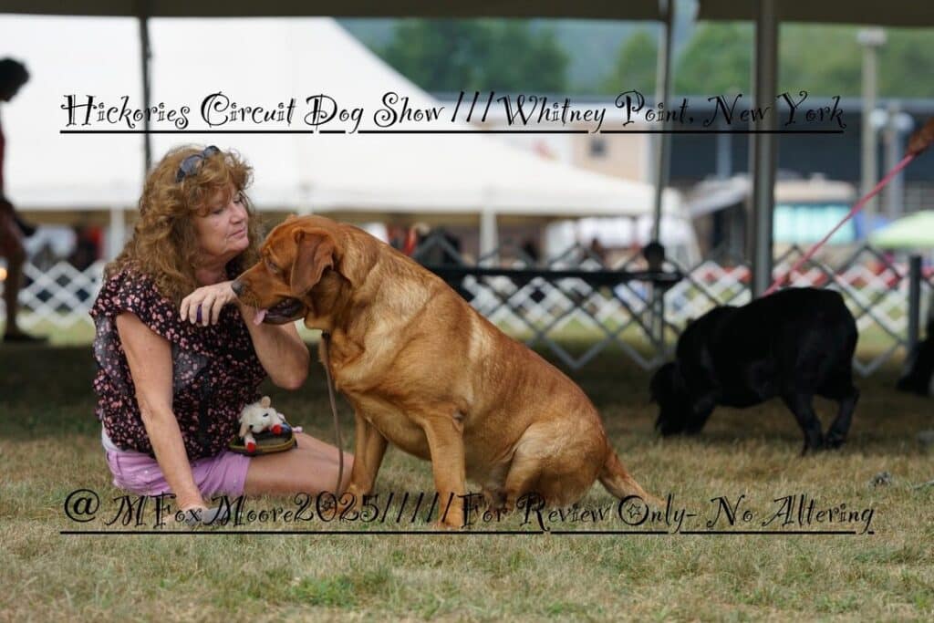 2025 Hickories Circuit Dog Show