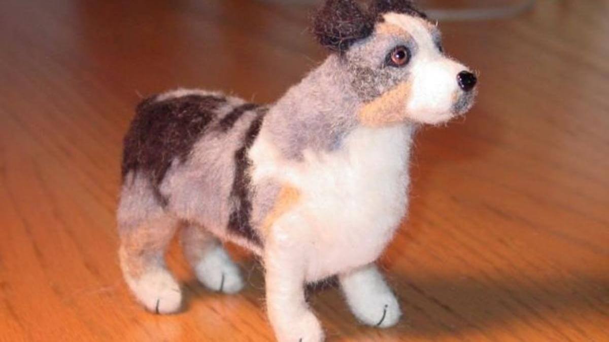 Got Dog Hair
