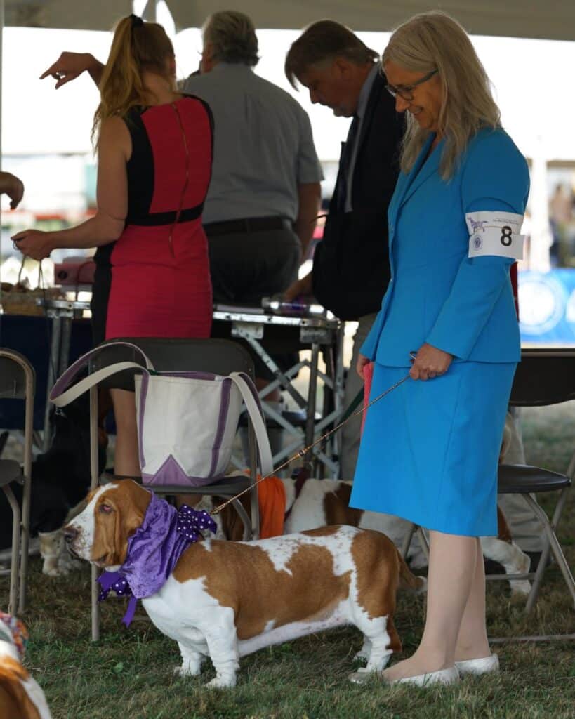 2025 Hickories Circuit Dog Show