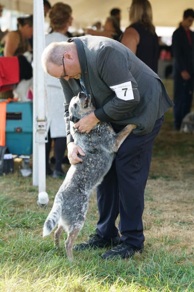 2025 Hickories Circuit Dog Show