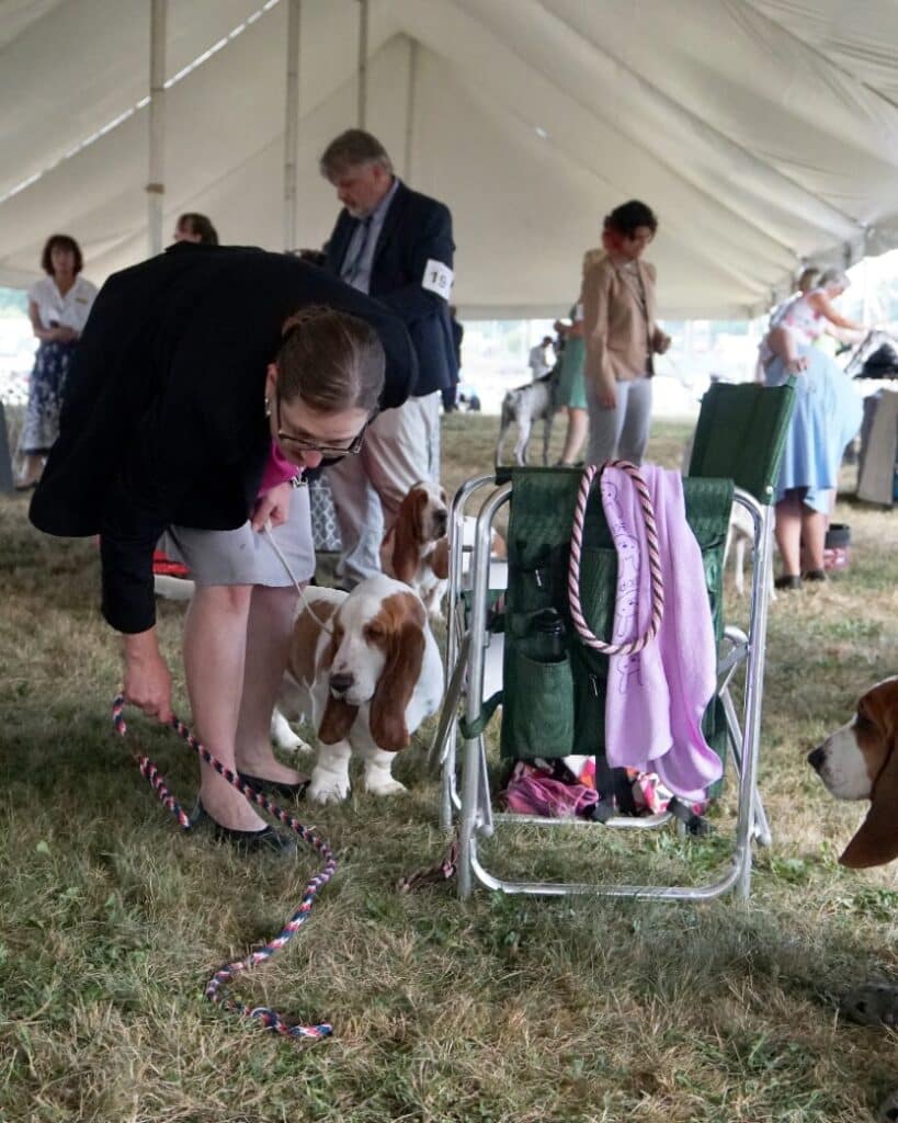 2025 Hickories Circuit Dog Show