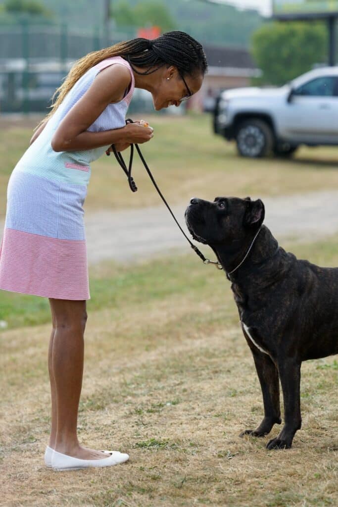 2025 Hickories Circuit Dog Show
