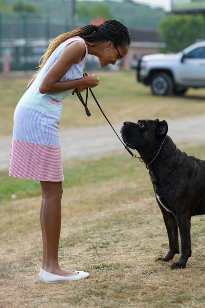 2025 Hickories Circuit Dog Show