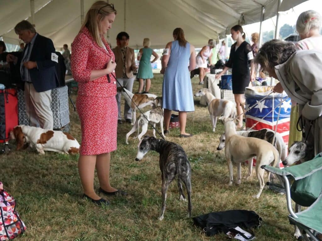 2025 Hickories Circuit Dog Show