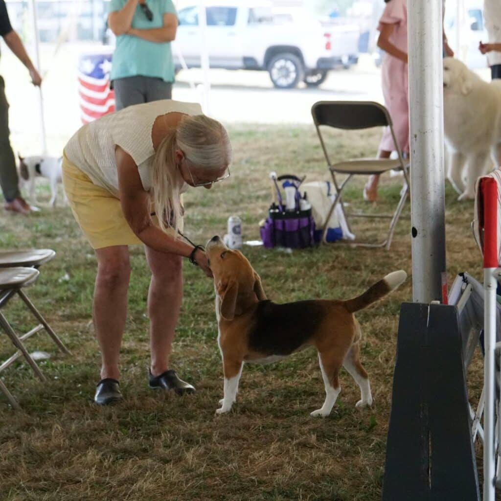 2025 Hickories Circuit Dog Show