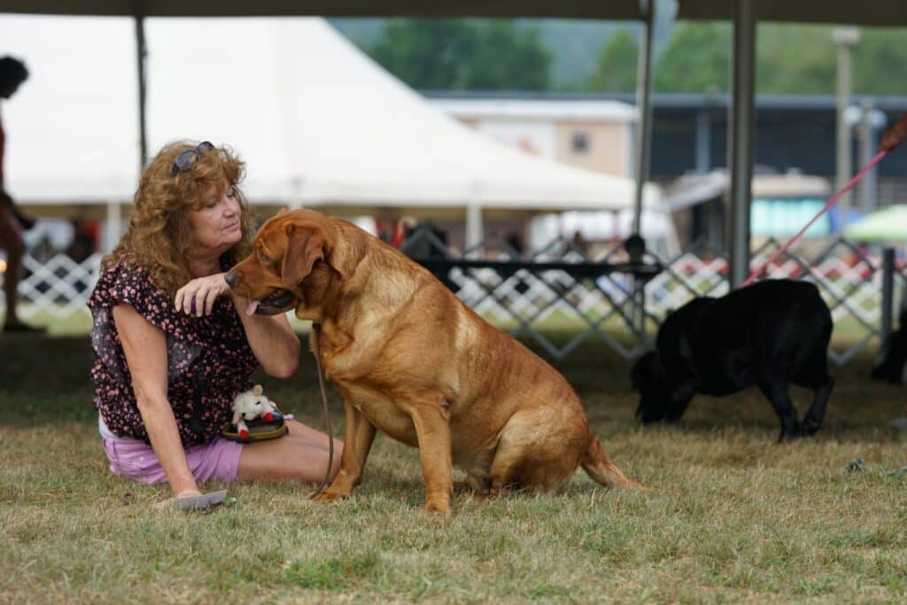 2025 Hickories Circuit Dog Show
