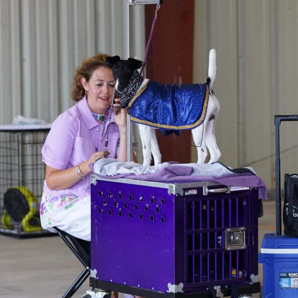 2025 Hickories Circuit Dog Show