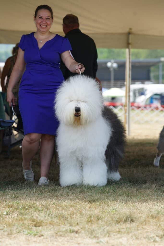 2025 Hickories Circuit Dog Show