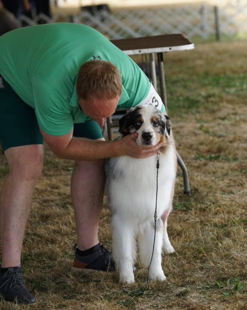 2025 Hickories Circuit Dog Show