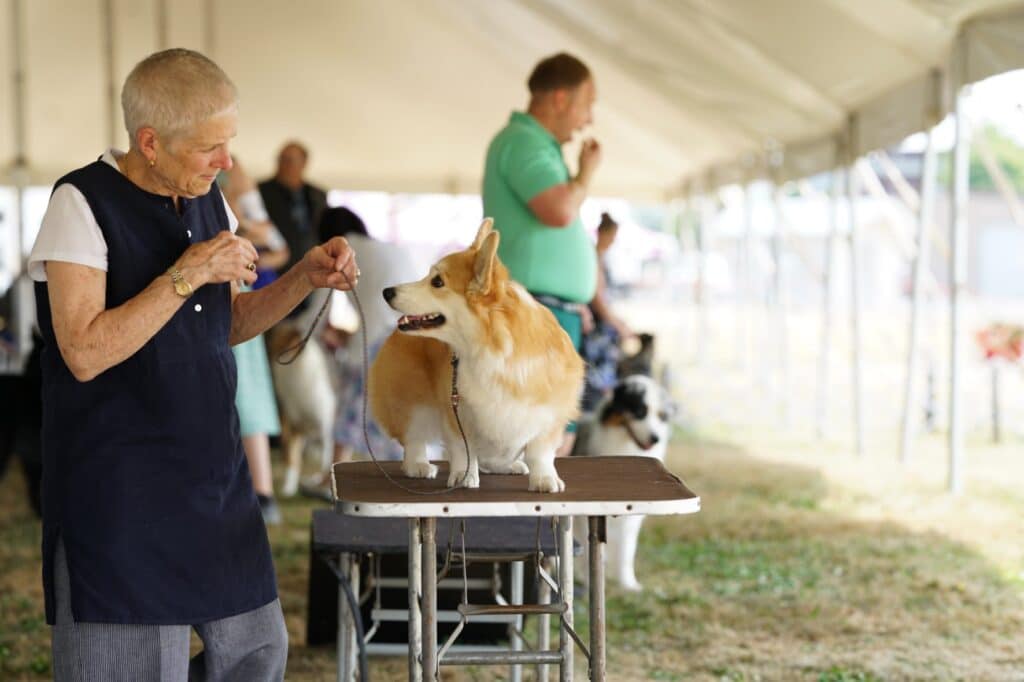 2025 Hickories Circuit Dog Show