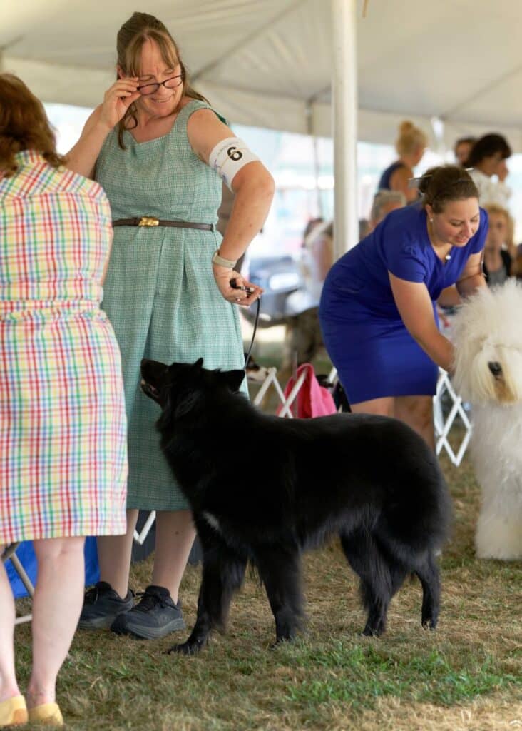 2025 Hickories Circuit Dog Show