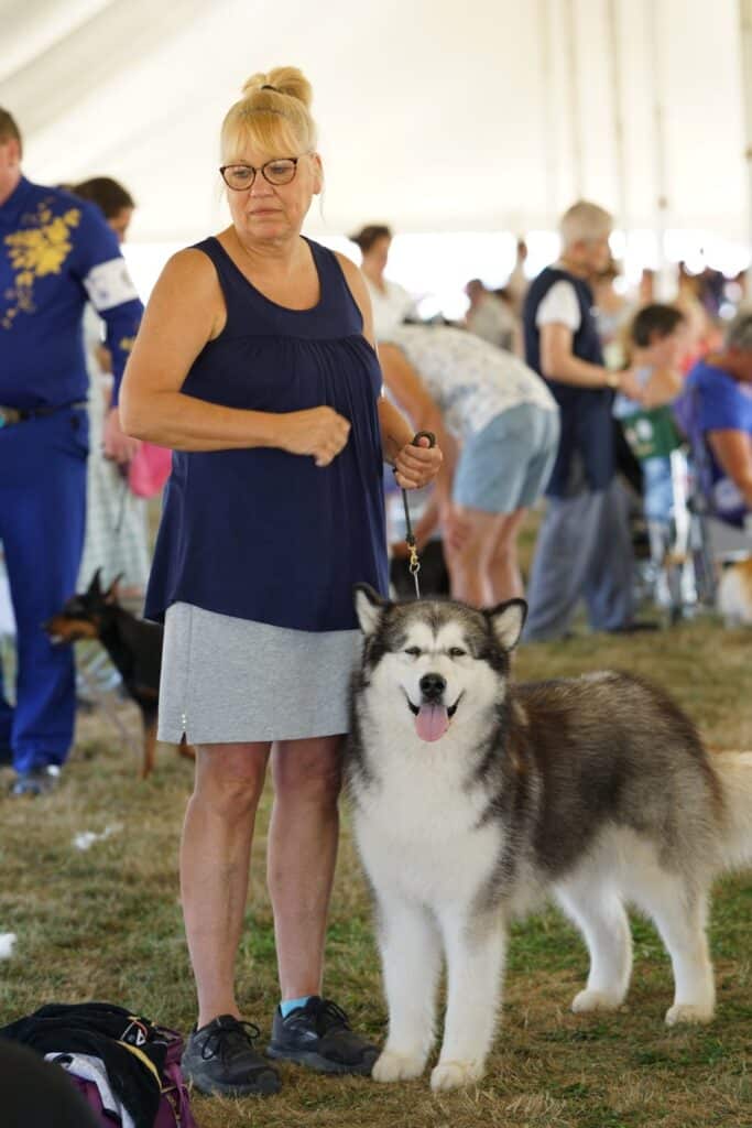 2025 Hickories Circuit Dog Show