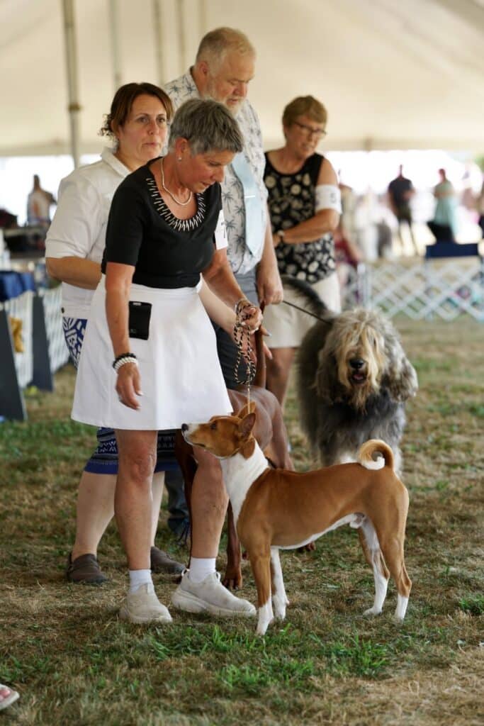 2025 Hickories Circuit Dog Show