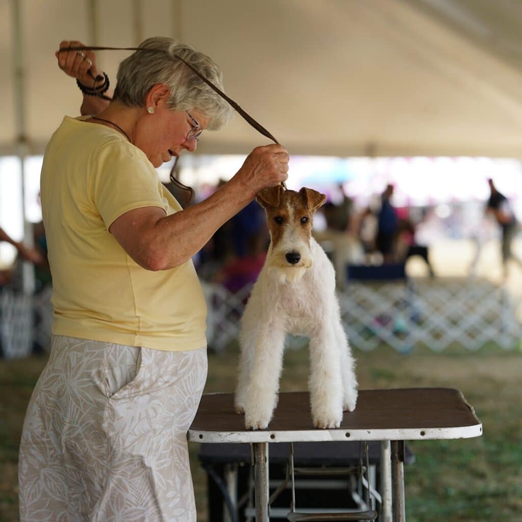 2025 Hickories Circuit Dog Show