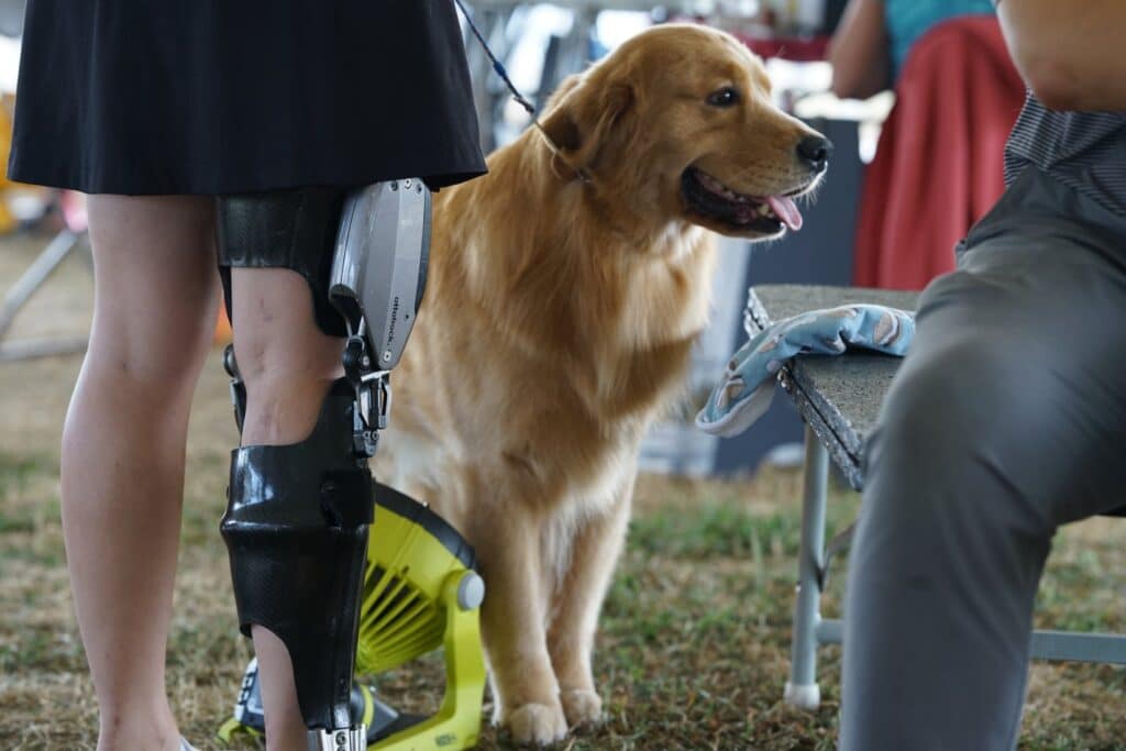 2025 Hickories Circuit Dog Show