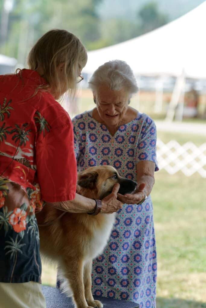 2025 Hickories Circuit Dog Show