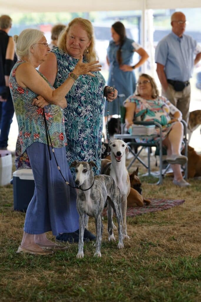 2025 Hickories Circuit Dog Show