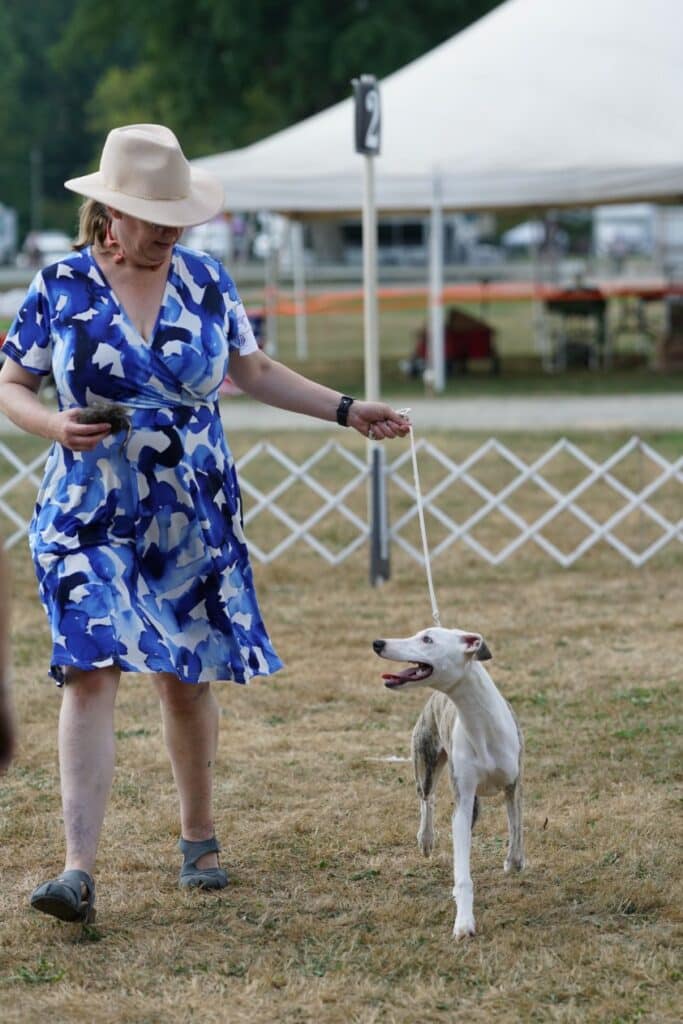2025 Hickories Circuit Dog Show