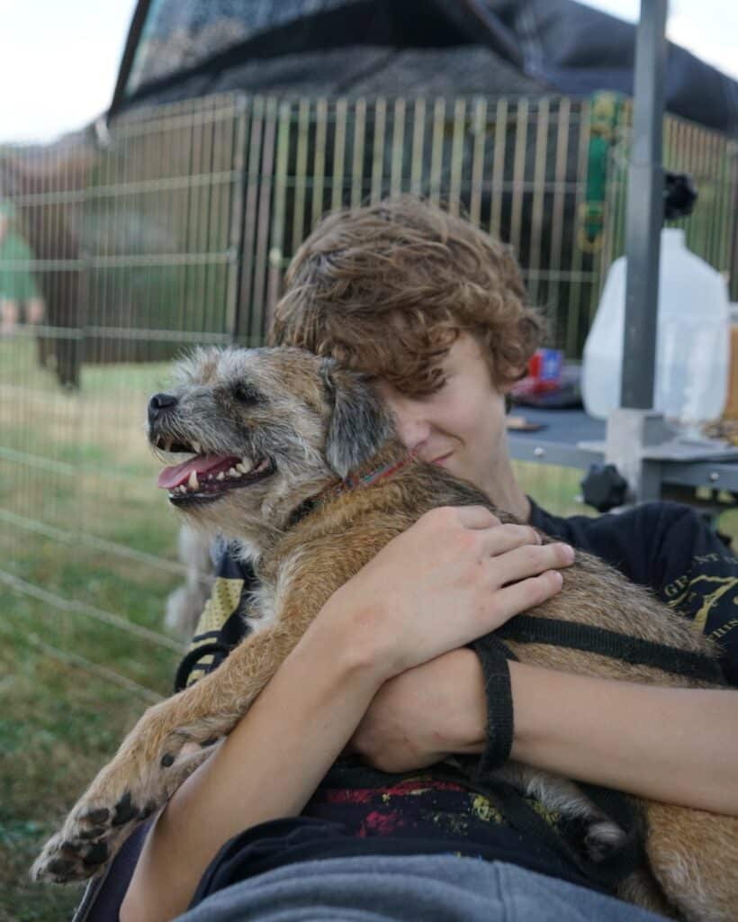 2025 Hickories Circuit Dog Show