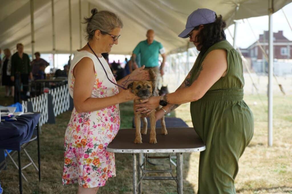 2025 Hickories Circuit Dog Show