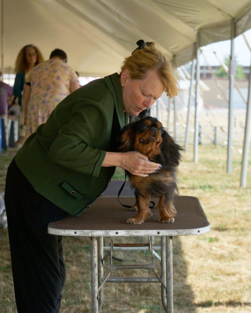 2025 Hickories Circuit Dog Show