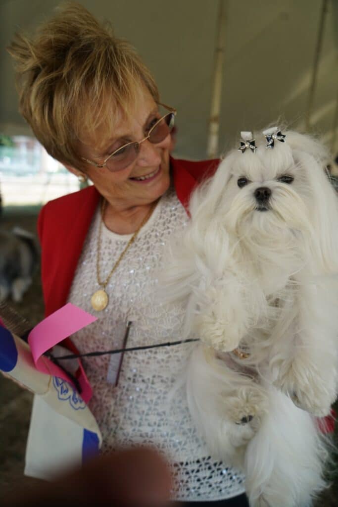2025 Hickories Circuit Dog Show
