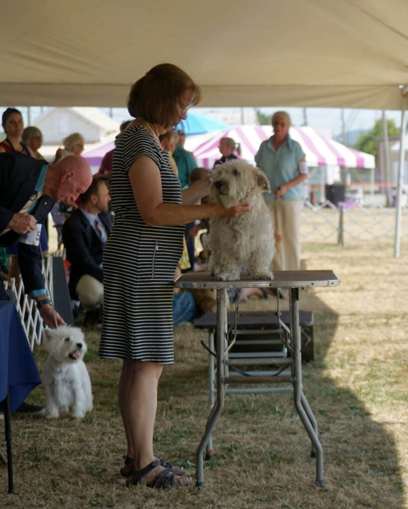 2025 Hickories Circuit Dog Show