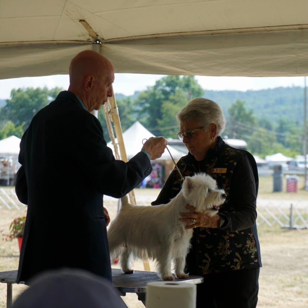 2025 Hickories Circuit Dog Show
