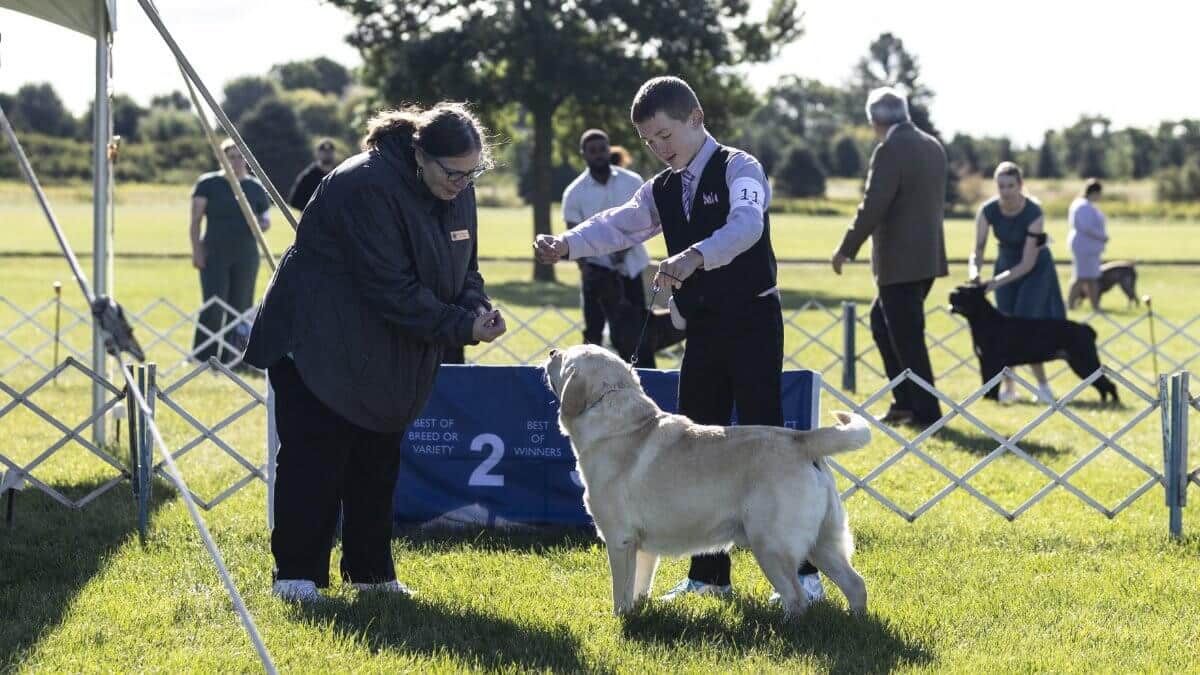 2025 Paper City Kennel Club Dog Show