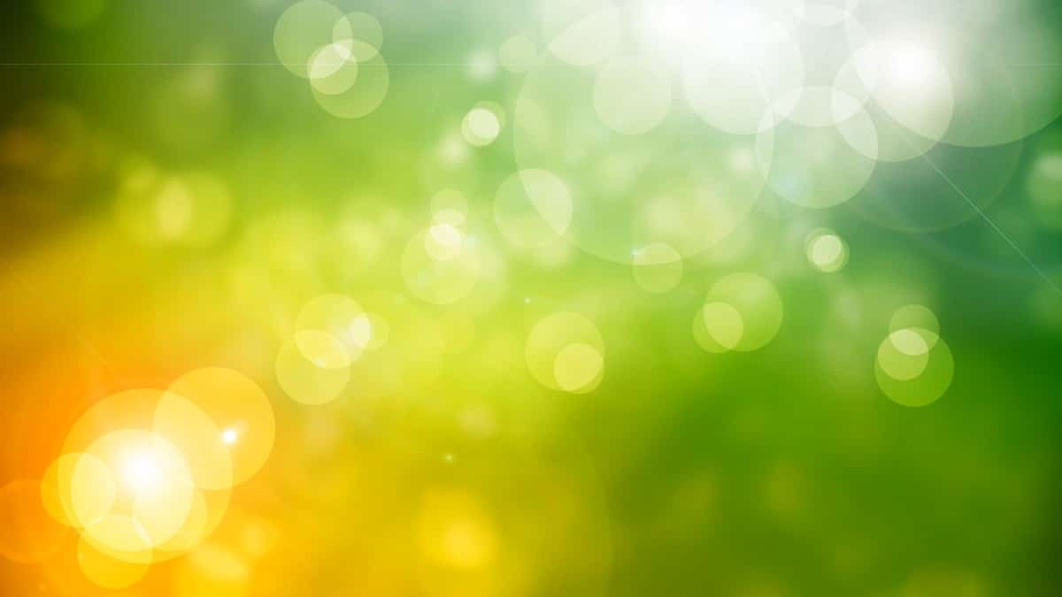 Abstract nature background spring greens.