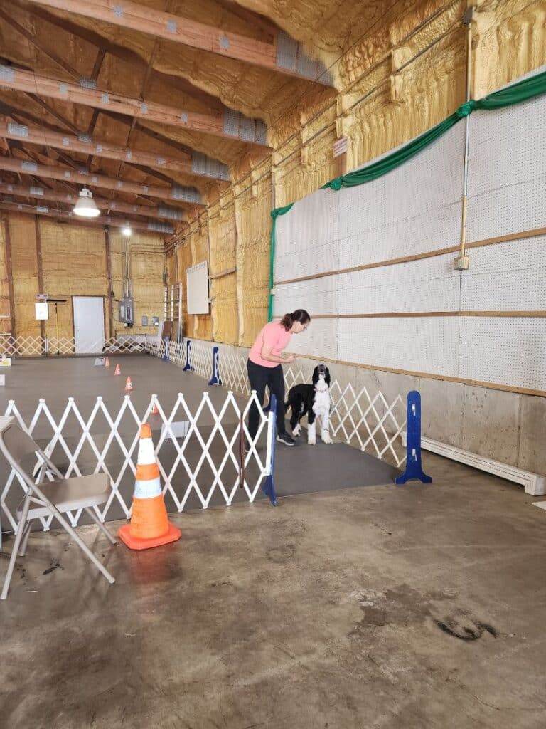 Kennel Club of Columbus Indiana 2025 Show