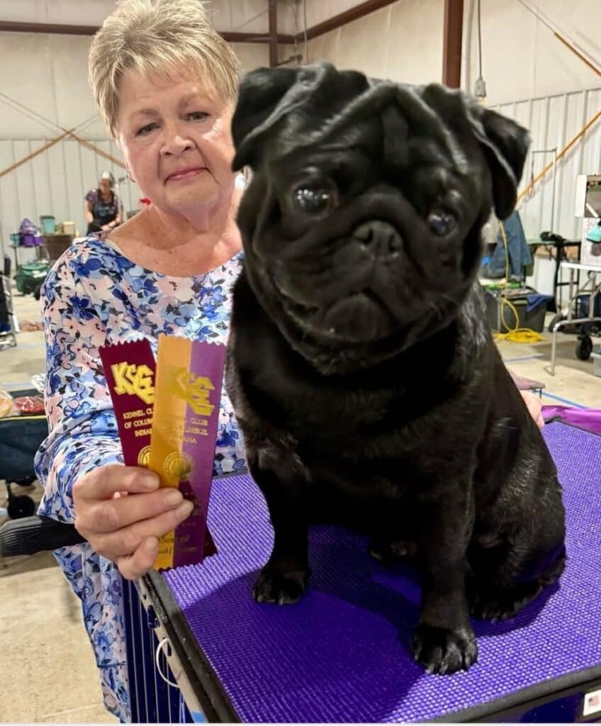 Kennel Club of Columbus Indiana 2025 Show