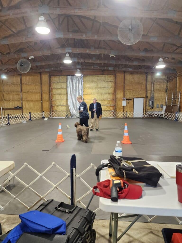 Kennel Club of Columbus Indiana 2025 Show